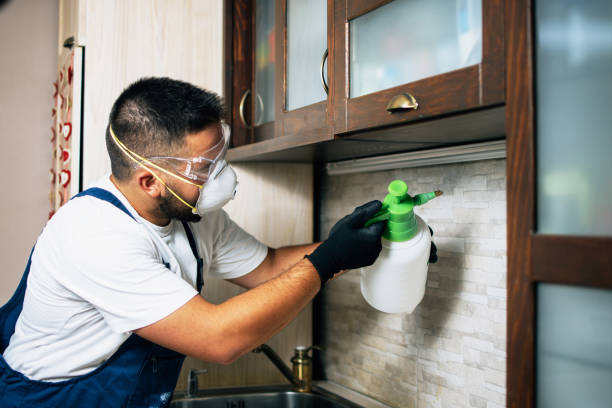 Best Wildlife Control Services  in Alpine, TX