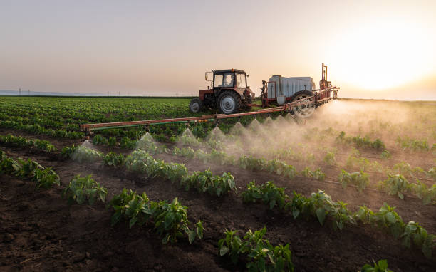 Best Ant Control Services  in Alpine, TX
