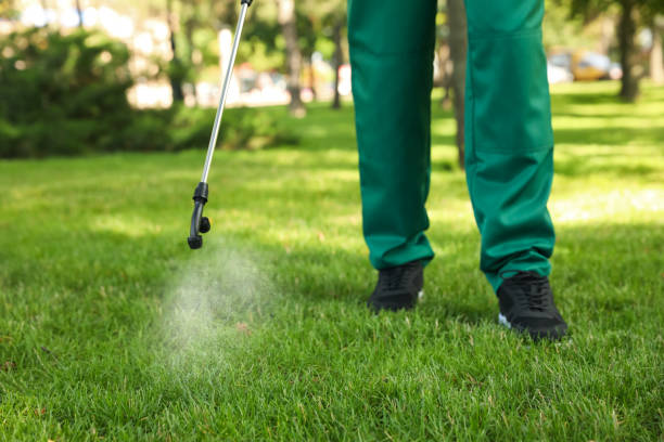Best Affordable Pest Control Services  in Alpine, TX