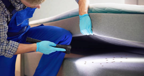 Best Pest Inspection Near Me  in Alpine, TX